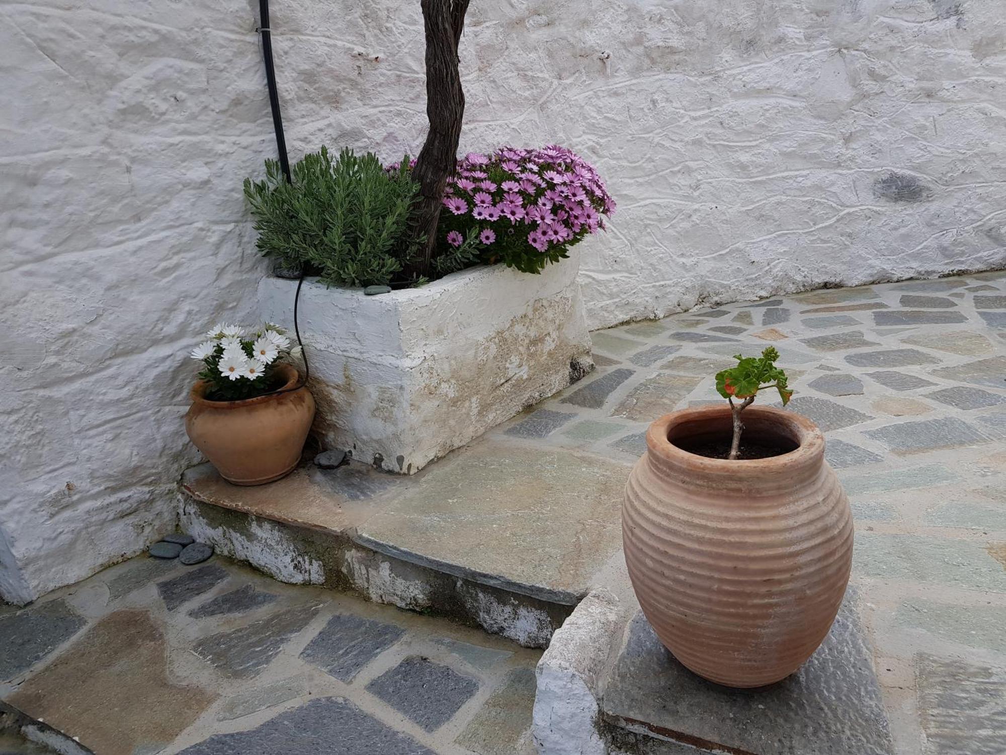 Lovely Traditionnal House With Sea View Tirós Buitenkant foto